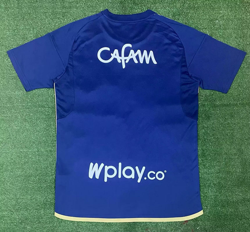 Hoffenheim Local 25-26