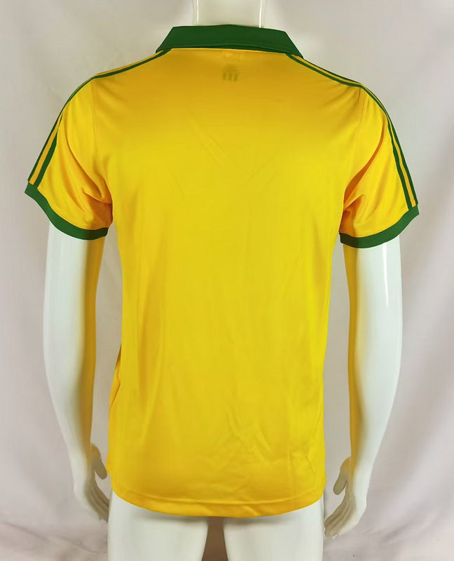 Brasil Local 1977
