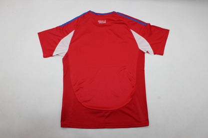 Chile Local 2024