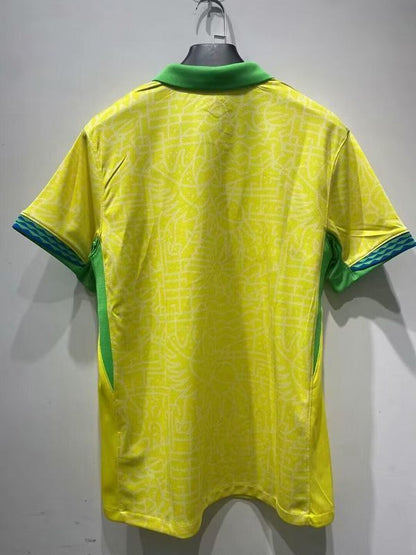 Brasil Local 2024