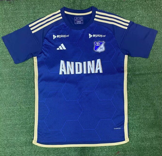 Hoffenheim Local 25-26