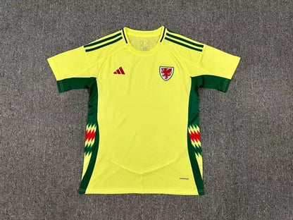 Gales Visitante 2024