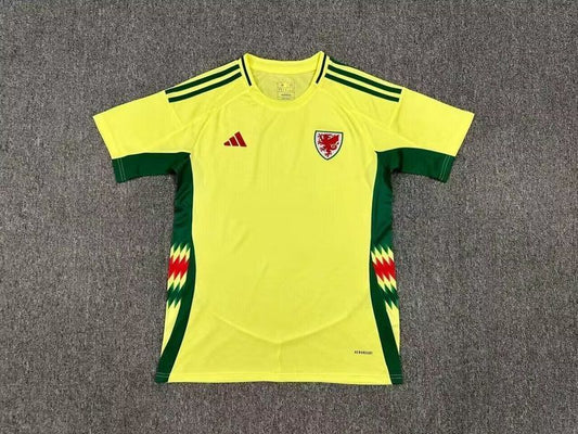 Gales Visitante 2024